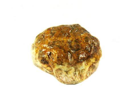 Le fricandeau