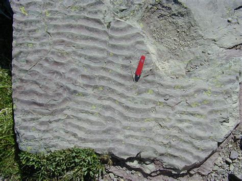 Chris atchison, may 2, 2012december 22, 2017. PNW Geology Virtual Field Sites
