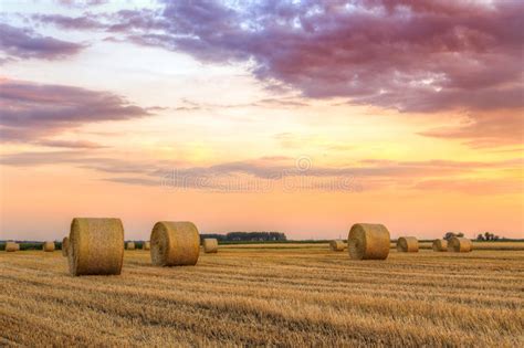Sunset Over Farm Field With Hay Bales Stock Image Image Of Blue