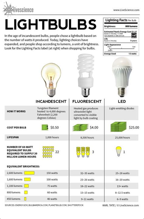 Lightbulbs Incandescent Fluorescent Led Infographic Modern