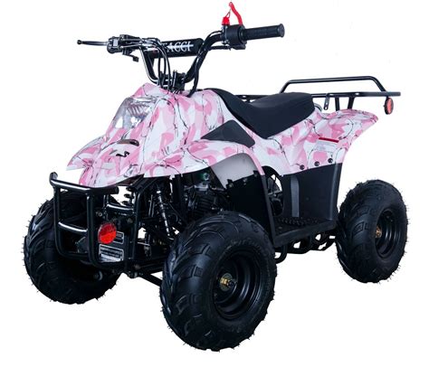 New Vitacci 110cc Hawk 6 Kids Atv Fully Assembled