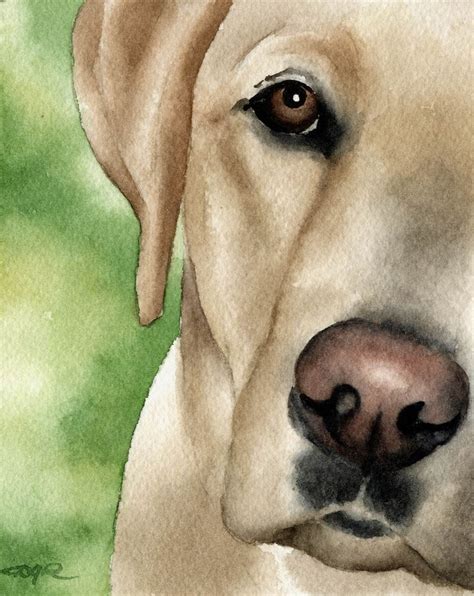 Labrador Retriever Art Print By Watercolor Artist Dj Rogers Etsy