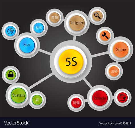 5s Method Infographic Royalty Free Vector Image