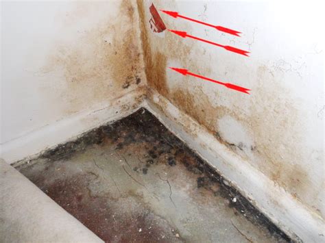 Damit in zusammenhang steht oft ein falsches. SCHIMMEL WOHNUNG - überall Schimmelbefall - GUTACHTEN