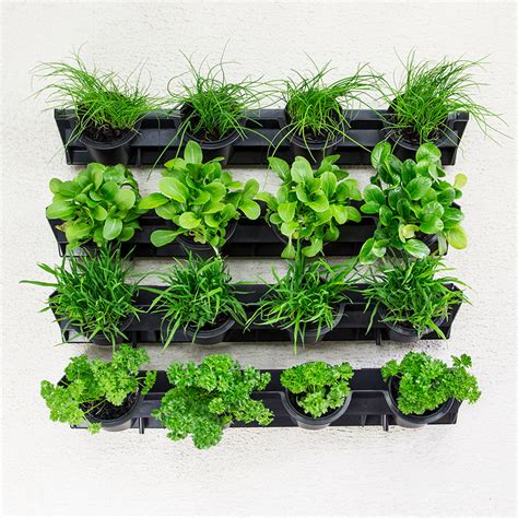 Greenwall Pixel Pot Vertical Planting Kit Holman