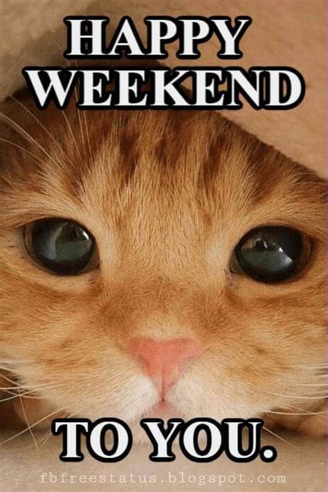 You know when it's the last day of the week, you're ready to leave work and have a drink because you have that friday feeling? Funny & Happy Weekend Quotes With Images, Pictures | Happy ...