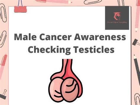 Male Cancer Testicle Check Tutorial Teaching Resources