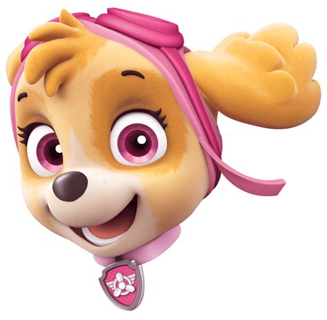 Sky Paw Patrol Png Png Image Collection