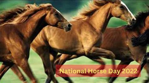 National Horse Day 2022 Date Theme History Significance