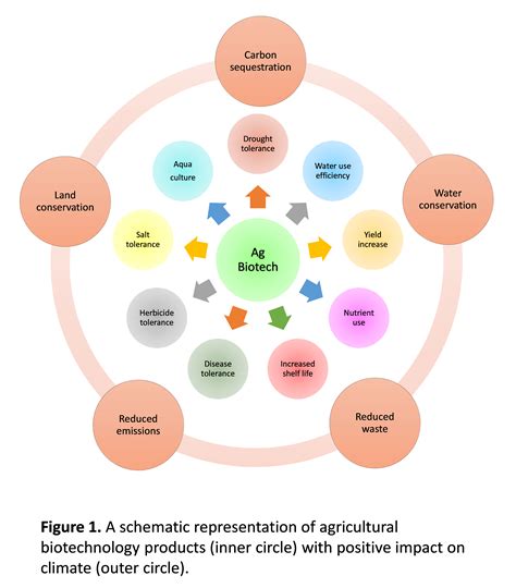 Agricultural Biotechnology A Vital Tool To Address Food Security And