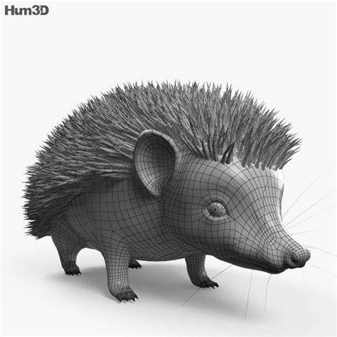 3d Model Of Hedgehog Hd Hedgehog 3d Model Model
