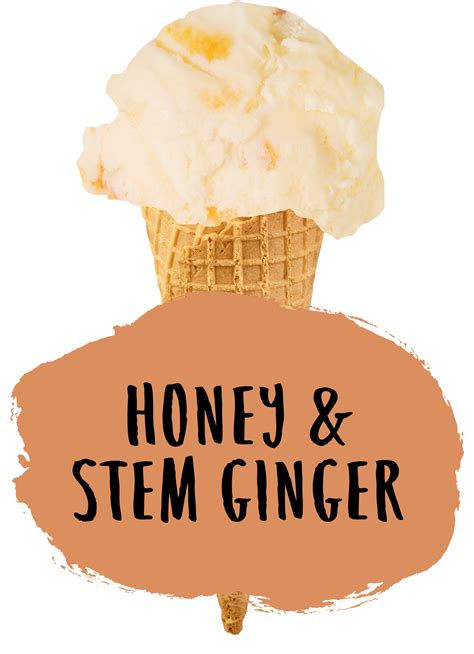 Honey And Stem Ginger Ice Cream Marshfield Farm Ice Cream