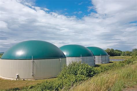 Biogas System An Option For Sustainable Livestock Farms The Western