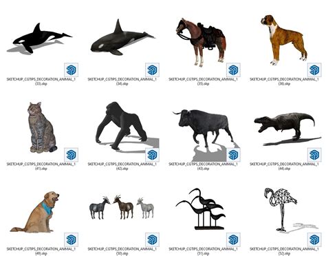 7517 Free Sketchup Animal Model Download