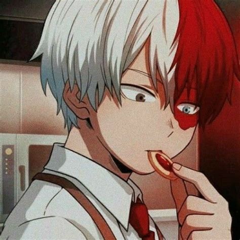 Aesthetic Pfp Shoto Todoroki Icons Img I