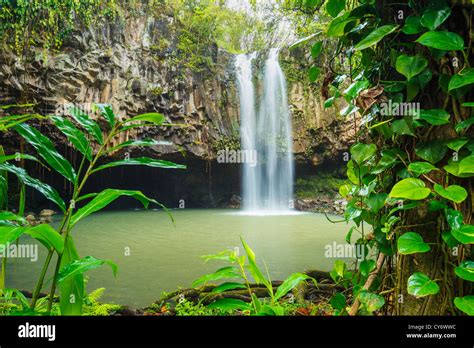 Beautiful Tropical Waterfall In Hawaii Stock Photo Alamy