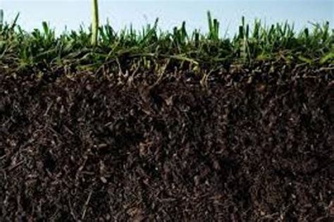 10 Interesting Soil Facts | My Interesting Facts