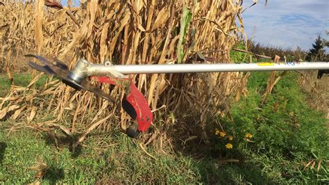 Cutting Down Corn Stalks With Force 8 From Agp Youtube