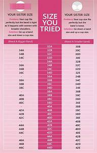 παζάρι ροζ κρουαζιέρα Bra Cup Size Comparison Chart ασήμι εγκαταλείπω