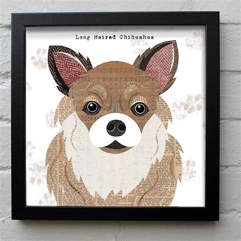 Long Haired Chihuahua Dog Print By Simon Hart