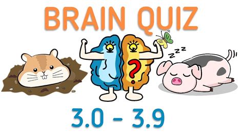 Brain Quiz Test Your Brain Level 30 To 39 Youtube