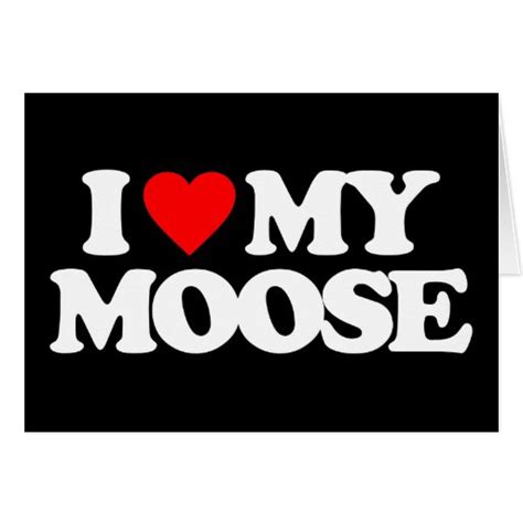 I Love My Moose Greeting Cards Zazzle