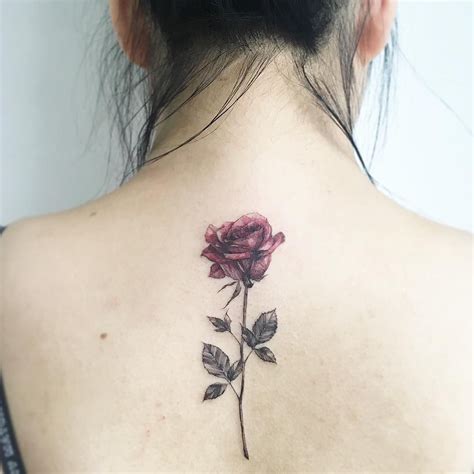 Imagem Relacionada Rose Stem Tattoo Rose Tattoo Meaning Tattoos With