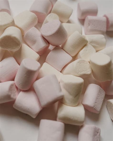 9 Best Marshmallow Substitute Recipes And Pantry