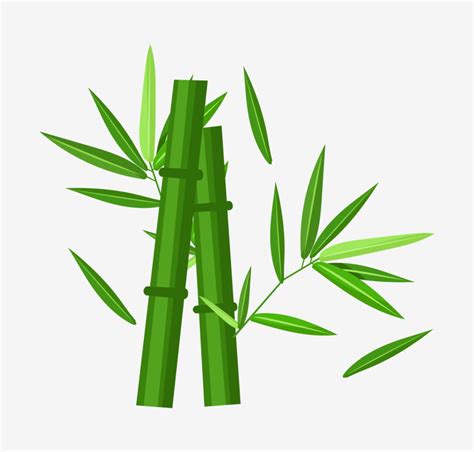 Green Bamboo Vector Art Png Strong Green Bamboo Illustration Bamboo