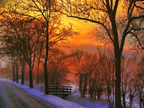 Free Images Tree Winter Sunset Nature Branch Natural Landscape