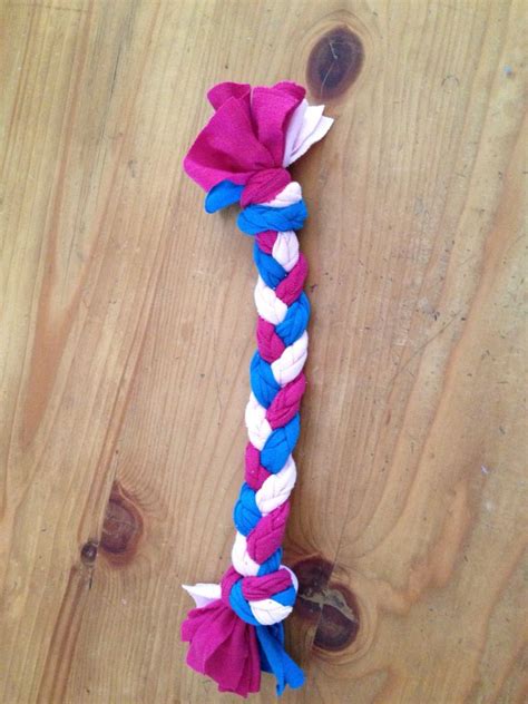 Homemade Dog Toy Made From T Shirt Material Braided And Knotted