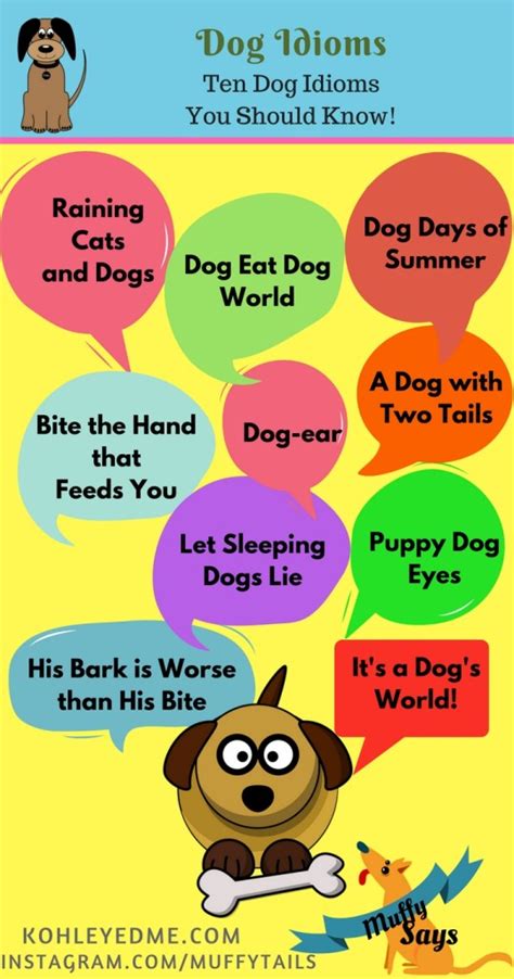 Ten Dog Idioms You Should Know Kohl Eyed Me