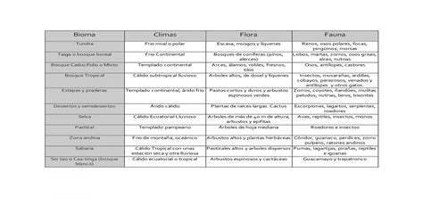Cuadros Comparativos De Biomas Cuadro Comparativo Biomas Images