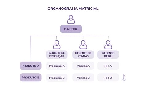 Modelo De Organograma Para Copia