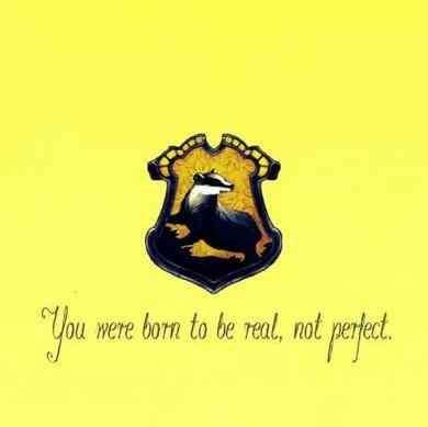 I'm a chaser on the hufflepuff quidditch team. 20 Funny Hufflepuff Memes & Harry Potter Quotes To ...