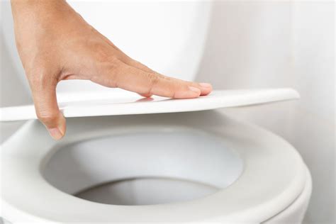 6 Reasons To Put The Toilet Lid Down Dengarden