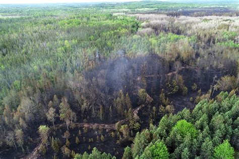 Northern Michigan Wildfire Continues To Burn On Third Day Now 78
