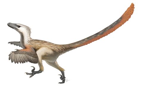 10 Weetjes Over De Velociraptor Die Jouw Beeld Over Dinosaurussen