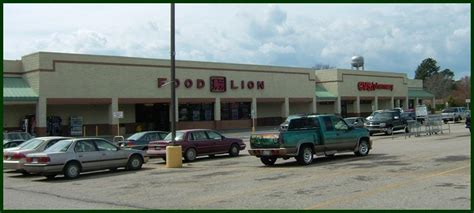 I have shopped at several grocery stores in the past. Grocerying: Food Lions Galore