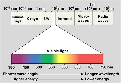 The Visible Part Of Electromagnetic Spectrum Lies In Between