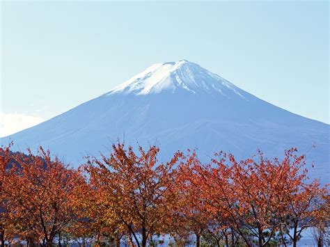 Natural beauty around the world: Natural beauty of Mount Fuji