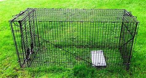Buy Heavy Duty Extra Large Live Animal Traps Great For Medium To Large