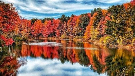 Fall Colors Peak In Maine Wgme