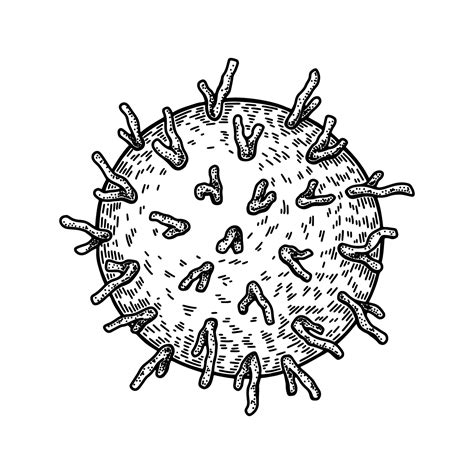 Hand Drawn Rhinovirus Isolated On White Background Realistic Detailed