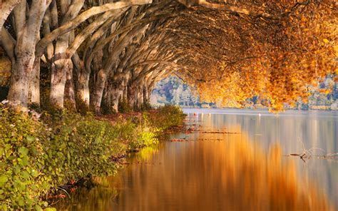 Download Wallpaper 3840x2400 Lake Trees Shore Landscape Autumn 4k Ultra Hd 1610 Hd Background