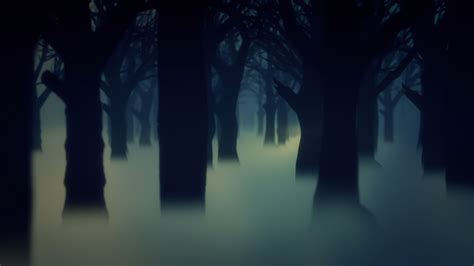 Dark Forest Fog 3d Model Animated Pixelboom