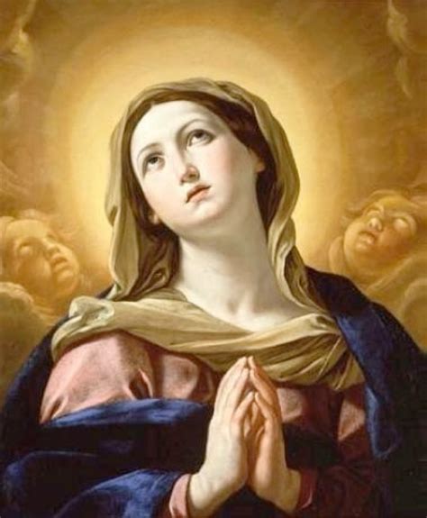 ® Virgen María Ruega Por Nosotros ® ImÁgenes De La AsunciÓn De MarÍa A Los Cielos 15 De Agosto