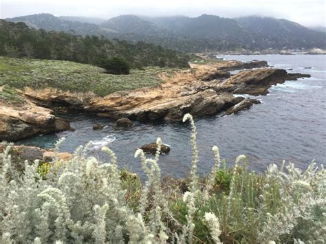 Point Lobos State Natural Reserve View To Big Sur Routes And Trips