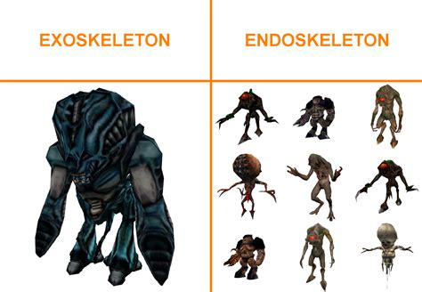 Why Do Only Gargantuas Have Exoskeletons Rhalflife