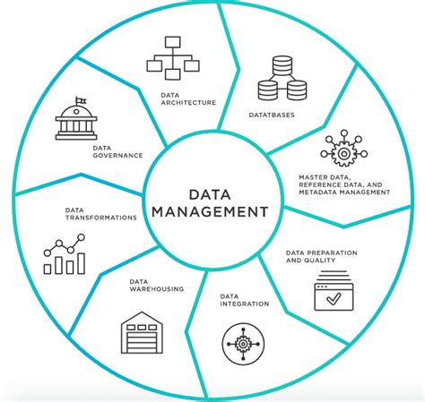 Masters Data Management Cloud Software